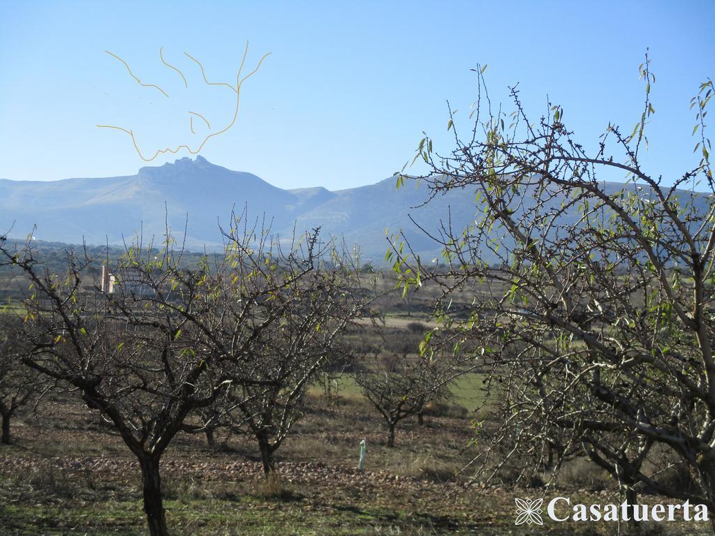 Villa Casa Tuerta Alcalá de Moncayo Esterno foto