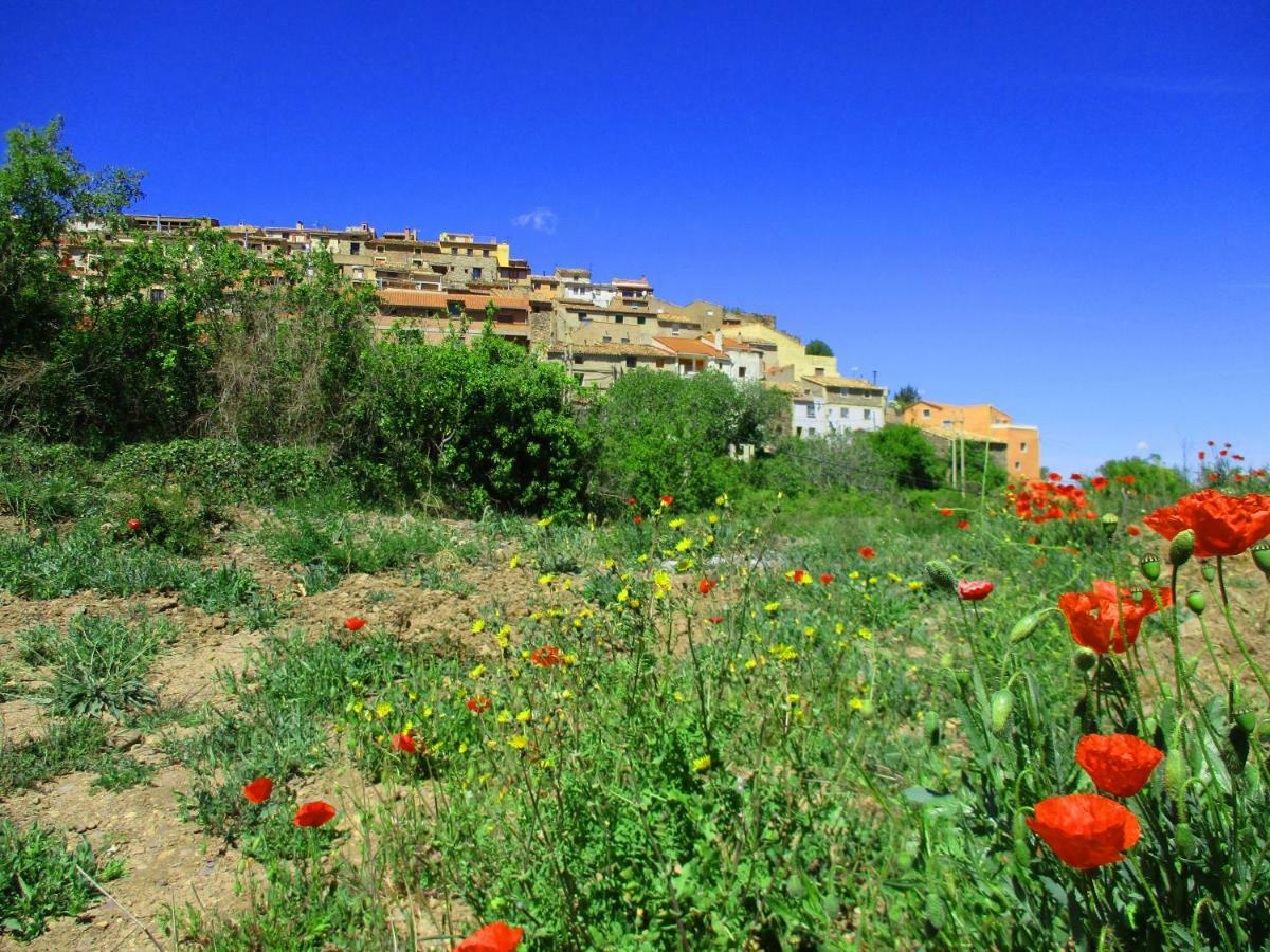 Villa Casa Tuerta Alcalá de Moncayo Esterno foto