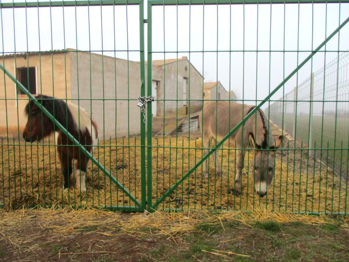 Villa Casa Tuerta Alcalá de Moncayo Esterno foto